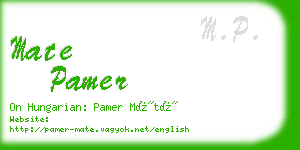 mate pamer business card
